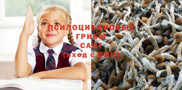 а пвп мука Армянск