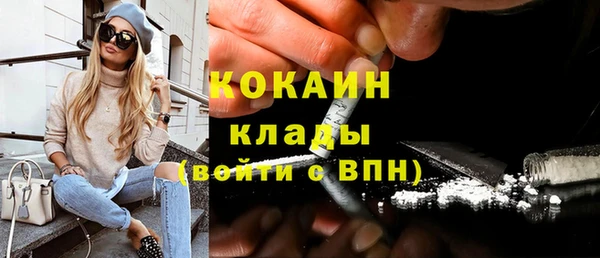 сатива Арсеньев