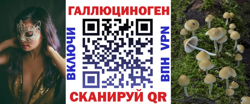 блэк спрут ONION  Городище  сайты даркнета официальный сайт  хочу   Псилоцибиновые грибы мицелий 