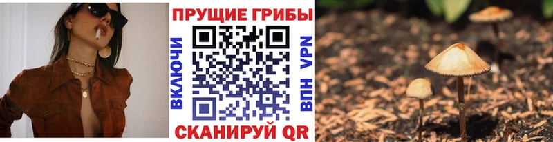 Псилоцибиновые грибы Psilocybine cubensis Городище